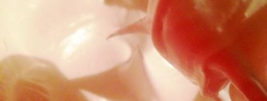 шоколадное безе. Шаг 2