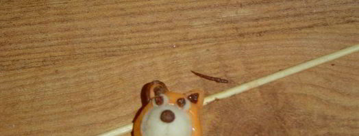 десерт полосатики. Шаг 16