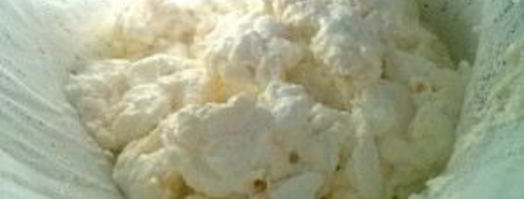 домашний творог из молока. Шаг 2