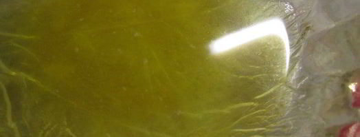 конфеты хрустящая нежность. Шаг 2