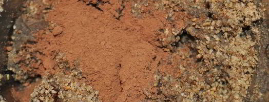 полезные конфеты из чечевицы и фиников. Шаг 3