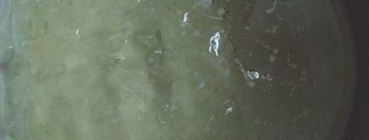 апельсиново-маковый рулет с кремом из маскарпоне. Шаг 8