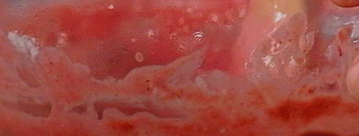 бисквитный рулет с вишневым кремом и малиной. Шаг 9