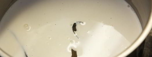 крем-брюле из топленого молока. Шаг 2