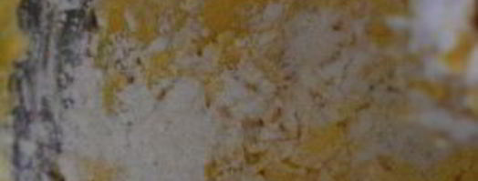 крем для бисквитного торта. Шаг 7