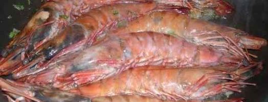 креветки королевские под кремом из фасоли и оливок. Шаг 20