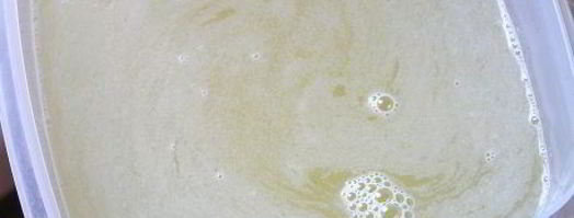 лимонно-лаймовый сорбет. Шаг 3