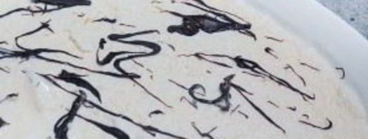 домашнее мороженое без сливок. Шаг 7