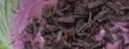 мороженое арбуз. Шаг 2