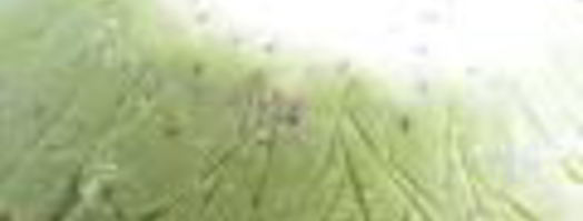 мороженое арбуз. Шаг 4