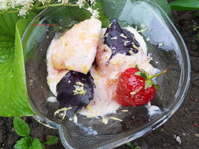 Рецепт мороженого с клубникой, базиликом и лимонной карамелью
