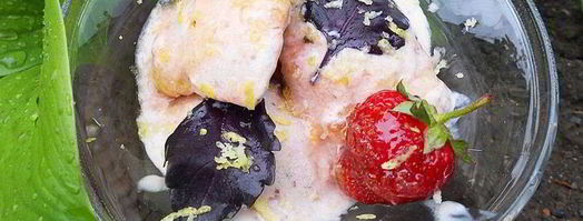 мороженое с клубникой, базиликом и лимонной карамелью. Шаг 6