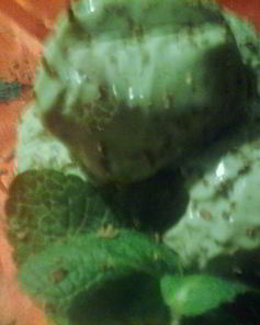 Мятно-шоколадное мороженое