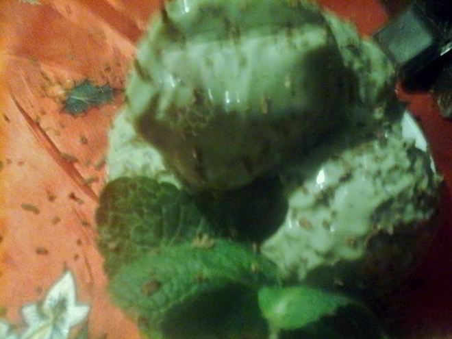 Рецепт мятна-шоколадного мороженого