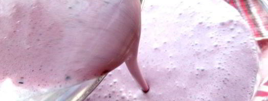 прохладный коктейль из мороженого с черникой. Шаг 11