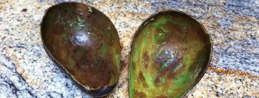 шоколадное мороженое c авокадо. Шаг 4