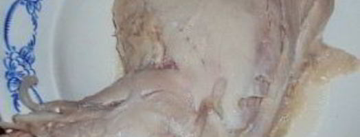 мусс из курицы. Шаг 3