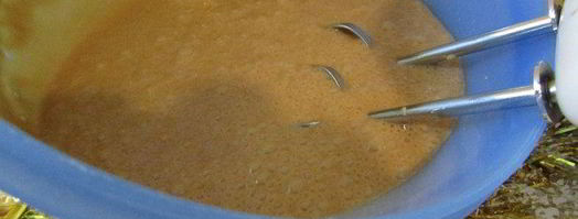 мусс новогодний. Шаг 7