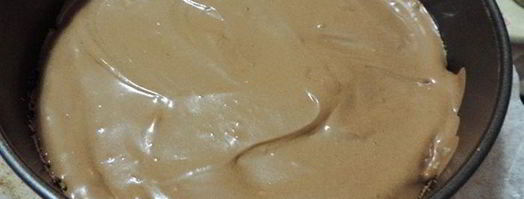 торт-мусс новогодняя фантазия. Шаг 18