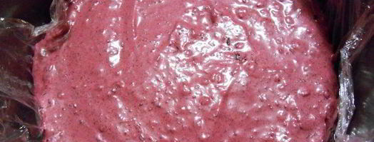 торт-мусс новогодняя фантазия. Шаг 10