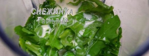 панна котта с руколой и соусом из белого шоколада. Шаг 3