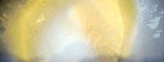 кулич пасхальный с изюмом и орехами. Шаг 8