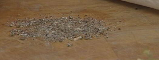 кулич с миндалем и изюмом. Шаг 7