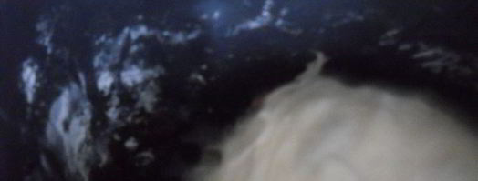 пасхальный кулич и булочки-гнездышки. Шаг 3