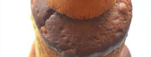 пасхальный кулич храм. Шаг 7