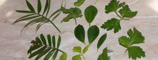 пасхальные яйца. Шаг 3