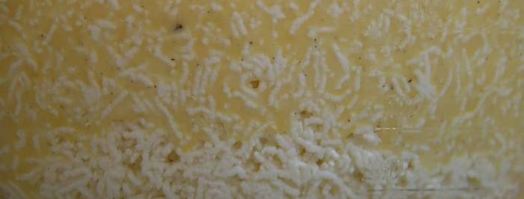 цитрусовая пасха. Шаг 4