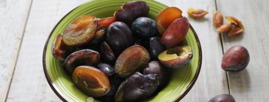 пастила из сливы. Шаг 4