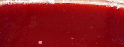 персиково-брусничный десерт. Шаг 8