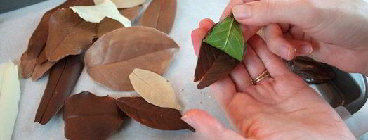 шоколадные листья. Шаг 6