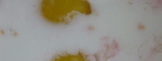 грейпфрутовое суфле. Шаг 2