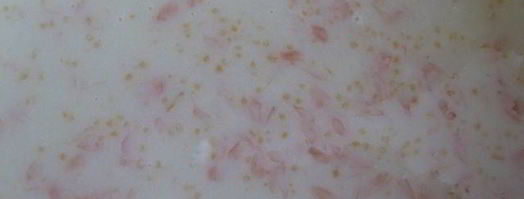 грейпфрутовое суфле. Шаг 4