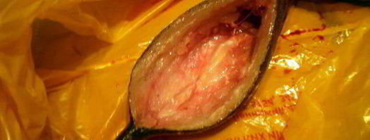 сибас с творожно-сырным суфле и семгой. Шаг 3