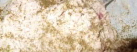 суфле из курицы с сыром. Шаг 6