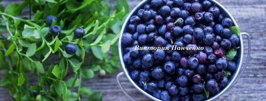 ванильный чиа-пудинг с черникой и лавандой. Шаг 3