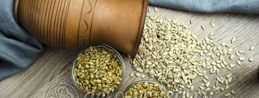 жареные семечки подсолнуха. Шаг 9