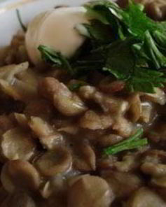 Чечевица ароматная