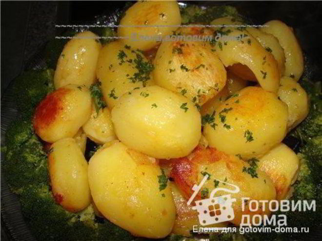 Рецепт картофеля поколение
