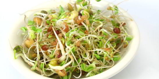 Пророщенная чечевица с тофу и перцем