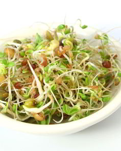 Пророщенная чечевица с тофу и перцем