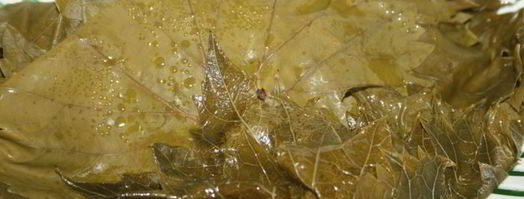 долма с филе морского окуня. Шаг 2