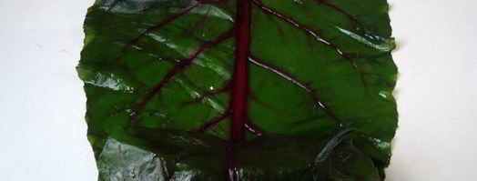 голубцы свекольные. Шаг 11