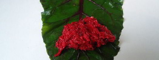 голубцы свекольные. Шаг 10