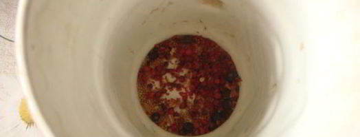 голубцы в лахане с двумя соусами. Шаг 15