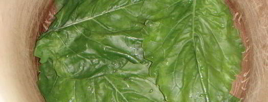 голубцы в лахане с двумя соусами. Шаг 10