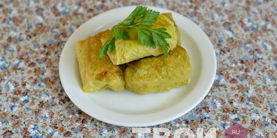 Куриные голубцы в листьях савойской капусты